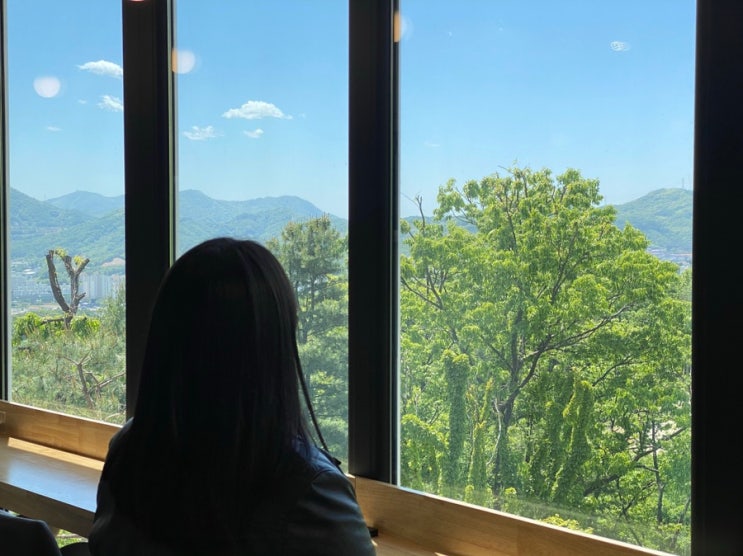  21.05.24 소피의 일기