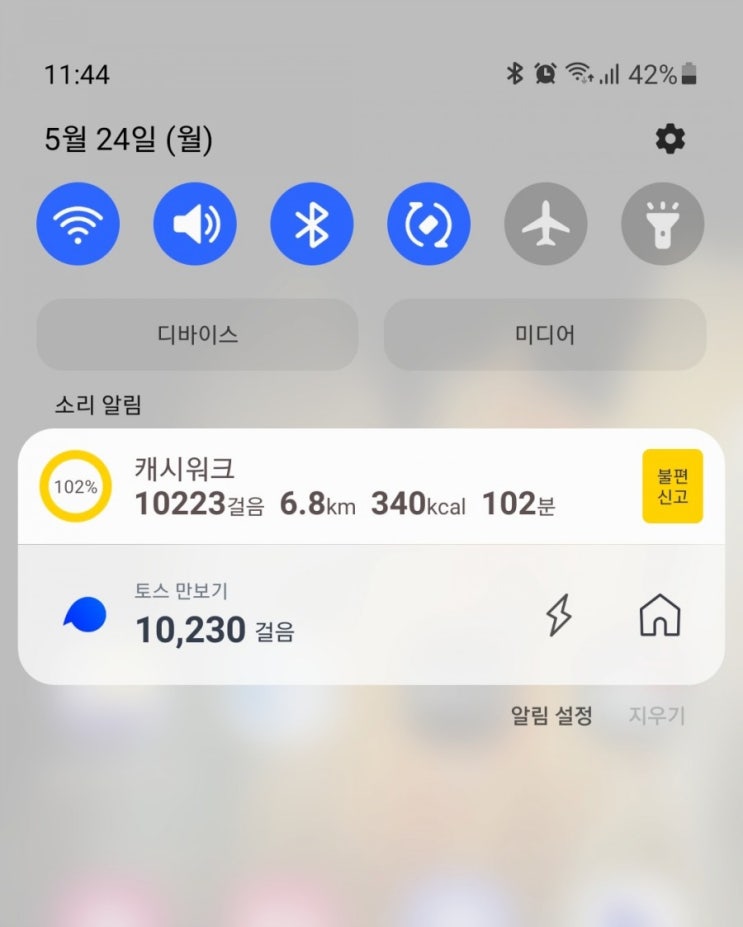  혈압을 정상으로 지키는 일상(만보걷기D+27)
