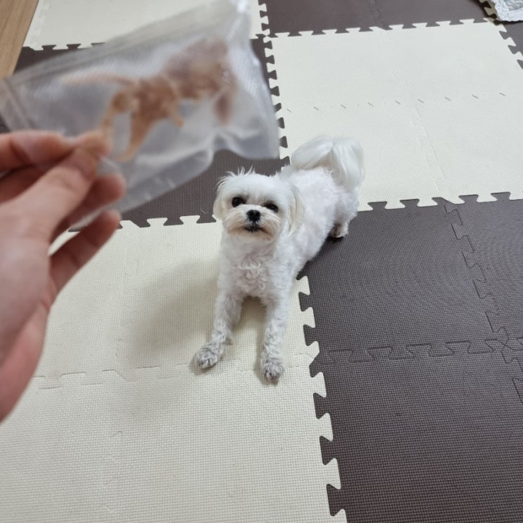  2021. 05. 24 퇴근 후 즐기는 일상