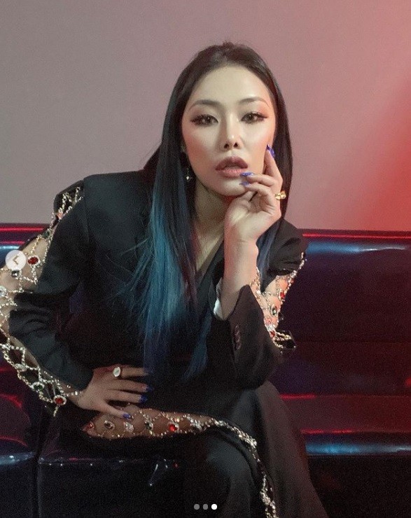 래퍼 치타 나이 집 위치 동네 반려동물 8마리 신박한 정리 번개장터 래퍼 치타 나이 집 위치 동네 반려동물 8마리 신박한 정리 번개장터