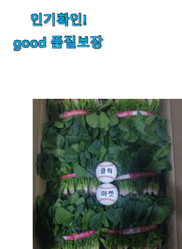  인기짱 남해 시금치 선택 사람들이 왜이렇게 찾는지 알거같네요
