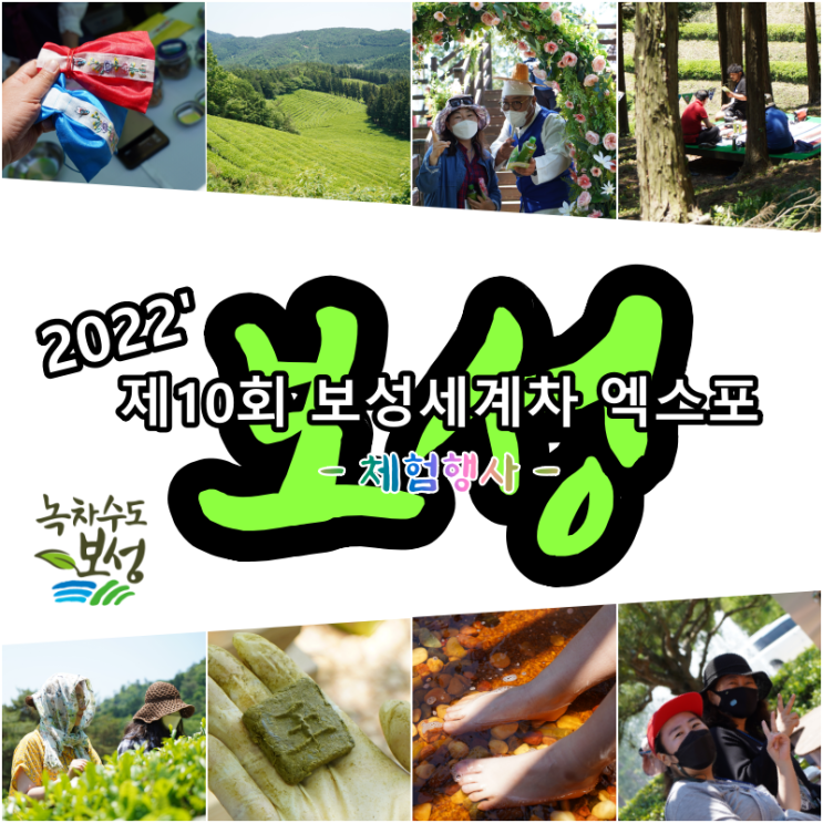  미리 보는 2022 제10회 보성 세계차 엑스포 체험