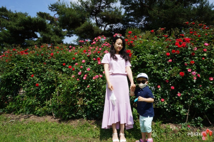  안성 장미꽃 볼만한곳, 죽산성지