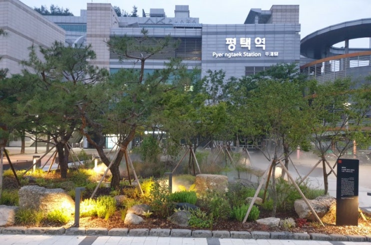  오늘 아침