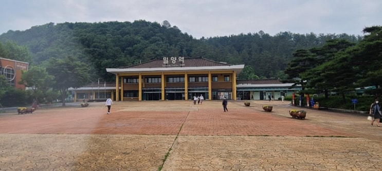  부산,경남,울산,마산,대구,대전,서울,수원,천안,진주,사천,광주,전남,전북,광명,김천,구미,포항,경주,창원,강릉,순천,여수,치매예방지도사,강사,전래놀이활동 공주셋왕