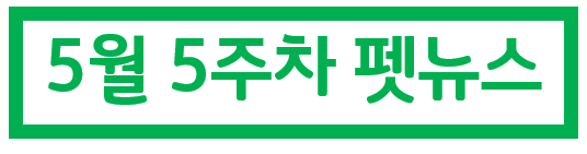  5/5주차 펫뉴스 :  "청년과 강아지가 함께 살아요" 견우일가, 입주식 개최