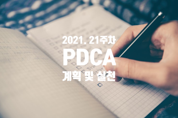  2021년 계획과 실천 21주차 점검 [매일 행복할 이유를 찾아라]