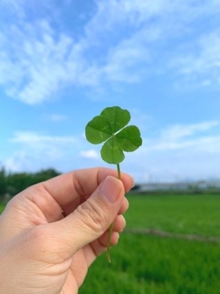  안녕하세요~^^ 여성 기업 인증 판촉물 쇼핑몰 모노기프트 입니다~