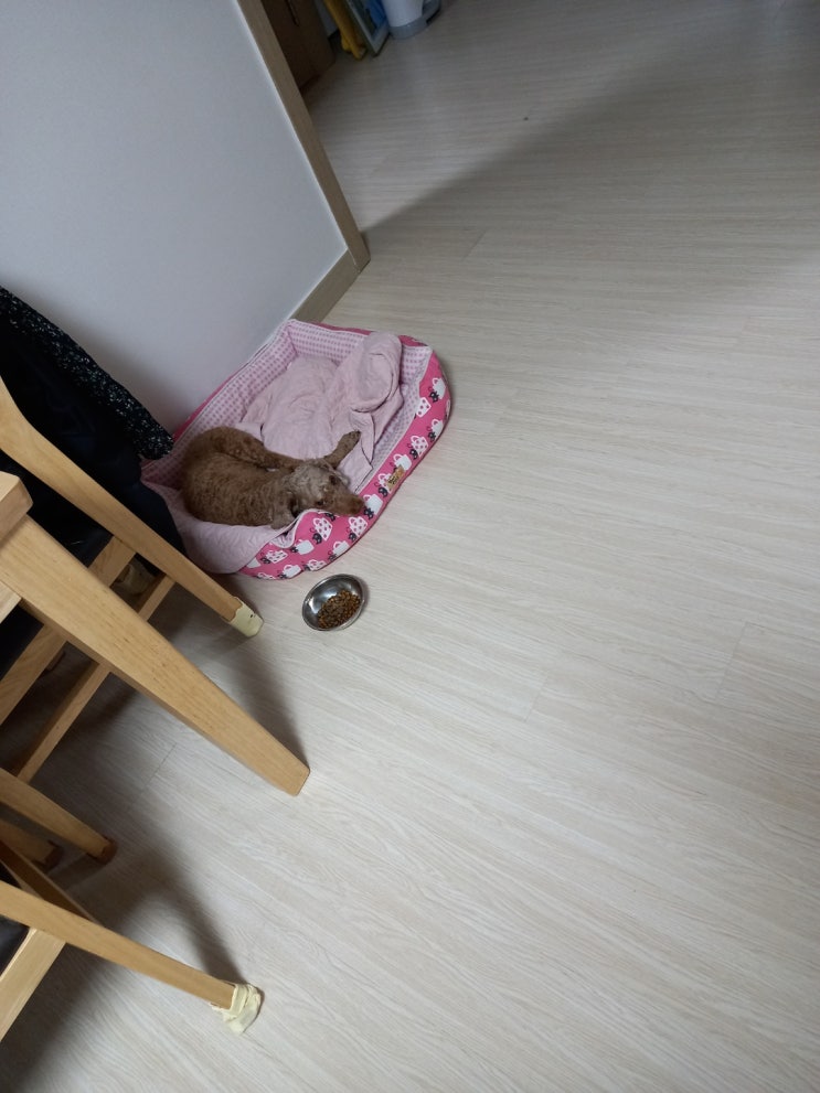  5.24일 마음대로 즐기는 tmi