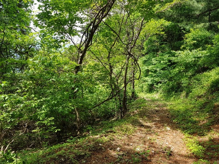 부채골 사진 6