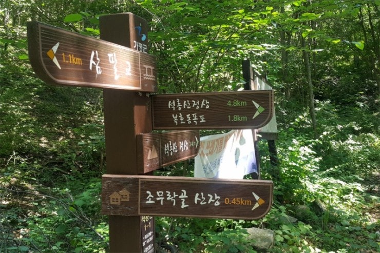 부채골 사진 2