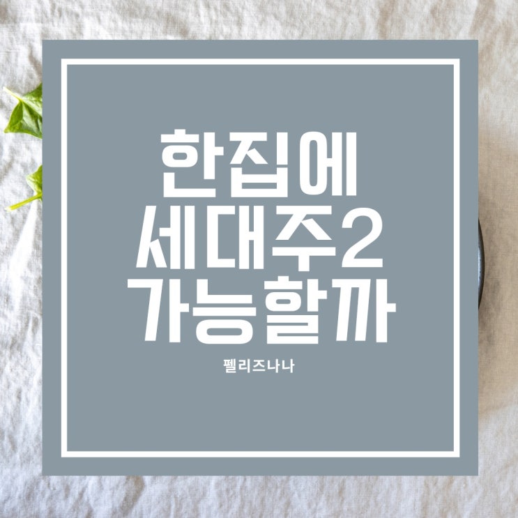  한 집에 세대주2명 세대분리를 할 수 있을까?