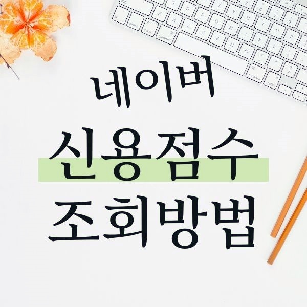  네이버 신용점수 조회 나이스지키미 연동된 신용점수올리기 feat. 신용등급점수표 첨부
