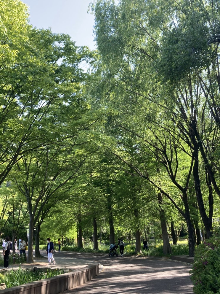  푸릇푸릇 수목원 
