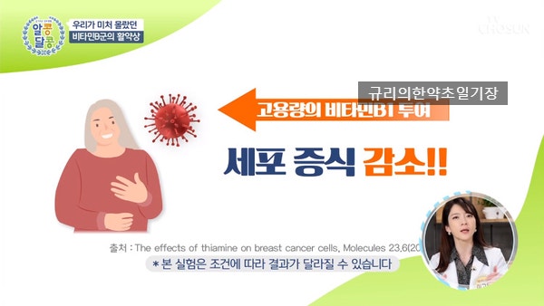 B 비타민의 이점 비타민 B1 B6 B12 Actions Untitled Complex 고농축 1