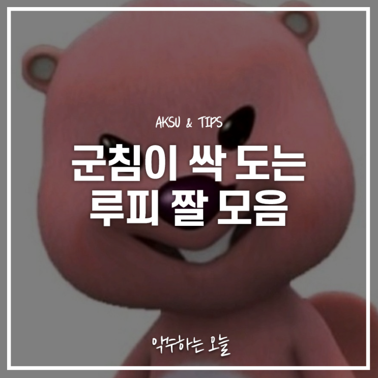  루피 짤 모음 루피는 어쩌다 이렇게 밈이 되었을까?
