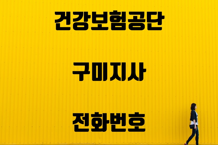  구미시 건강보험지사 전화번호