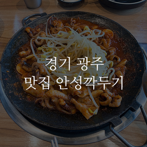 경기 광주 안성깍두기 : 맛있게 매콤한 쭈꾸미 삼겹살 맛집! 역동 축협 근처 음식점 (Feat. 수삼쓰)