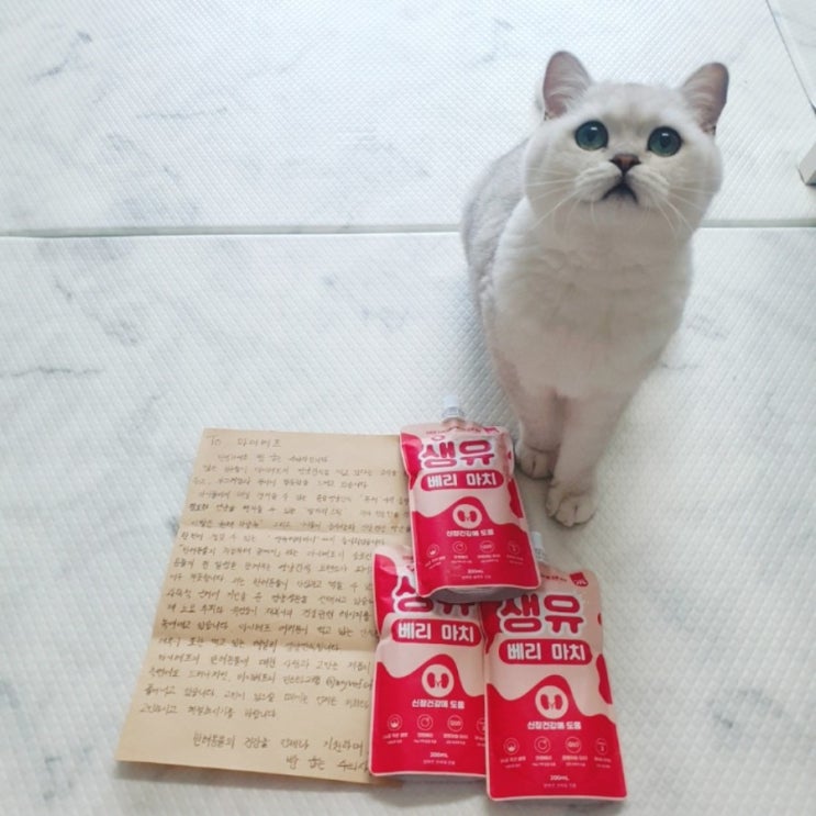  [고양이간식] 마이베프 생유베리마치 솔직후기