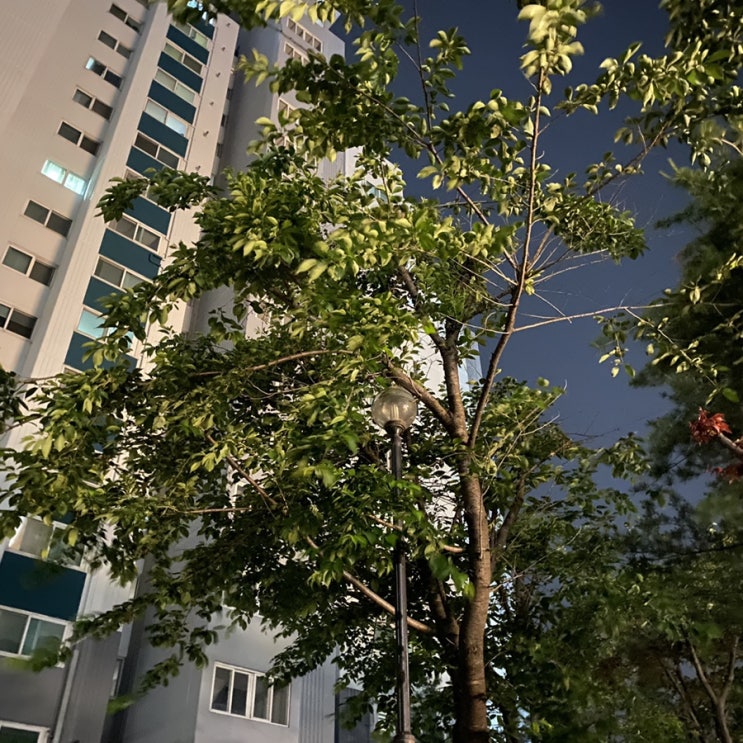  푸른달 스물나흘, 월요일은 한 주의 시작이 아니라 마감이다.