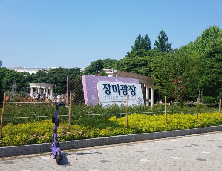  올림픽공원 장미광장 산책