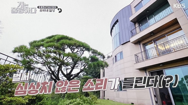 이다인 집 한남동 시세 90억 6층짜리 단독주택에서 살아가고 있다는데... 내 방 거실의 정체 견미리 이유비 단독주택 이다인 집 한남동 시세 90억 6층짜리 단독주택에서 살아가고 있다는데... 내 방 거실의 정체 견미리 이유비 단독주택