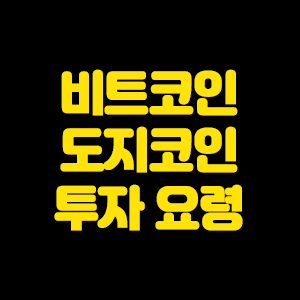  도지코인 이슈를 통한 비트코인 투자 요령