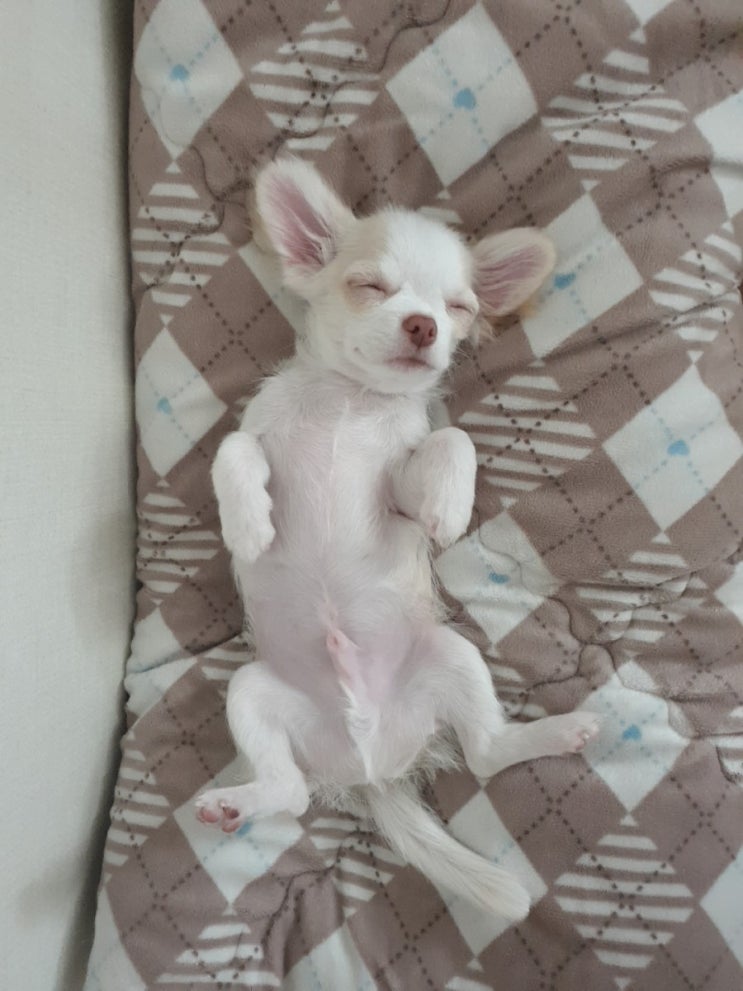 오늘일기 210524