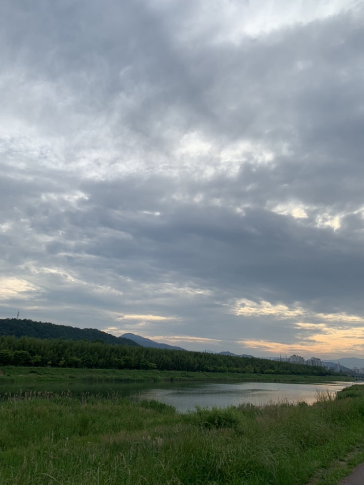 210524 네번째 오늘일기