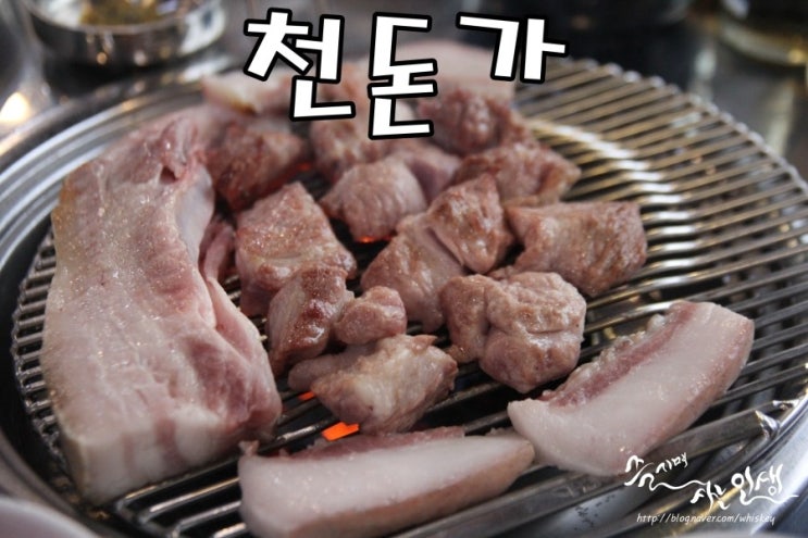  [서귀포 돼지고기 맛집] 서귀포 흑돼지 맛나는 천돈가