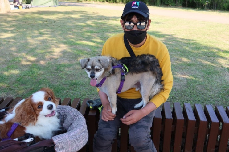  남양주 가볼만한 곳 다산생태공원 주말엔 사람이 그득그득