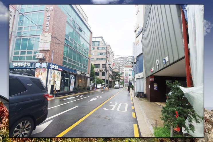 아이의 베일리 검사 전문검사후기 아이의 베일리 검사 전문검사후기