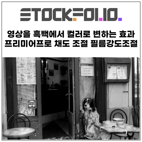  영상을 흑백에서 컬러로 변하는 효과 적용하기. 프리미어프로 채도 조절,필름 강도 조절