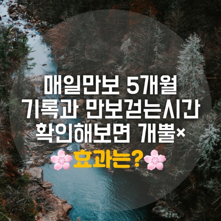 만보걷기 시간 5개월 정리하면 만보걷기 시간 5개월 정리하면