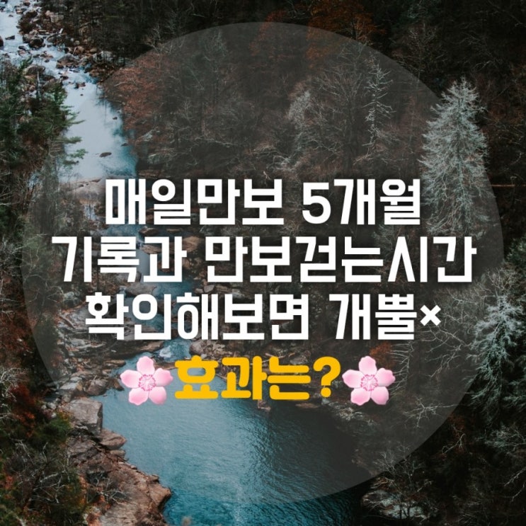 만보걷기 시간 5개월 정리하면