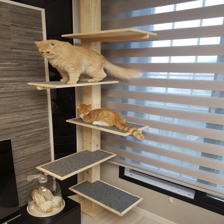 선호도 높은 아크퍼니처 DIY 고양이 원목 캣폴 캣타워, 1set, 아크원목캣폴 좋아요 선호도 높은 아크퍼니처 DIY 고양이 원목 캣폴 캣타워, 1set, 아크원목캣폴 좋아요