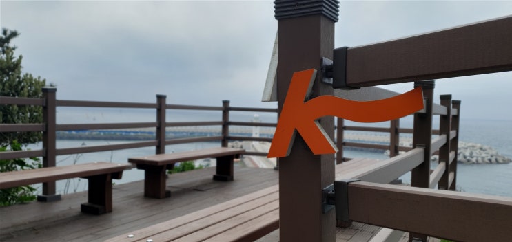  제주도 보름살기 도두항 올레길17코스 [오늘일기챌린지D-1]