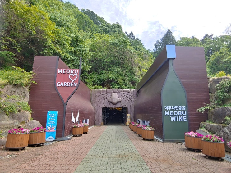 전라북도 무주여행 (머루와인동굴) 전라북도 무주여행 (머루와인동굴)