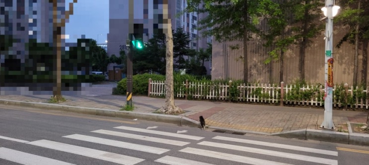 210524 일상요약