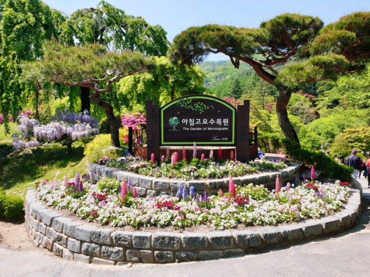  아침고요수목원 경기도 가평 가볼만한곳