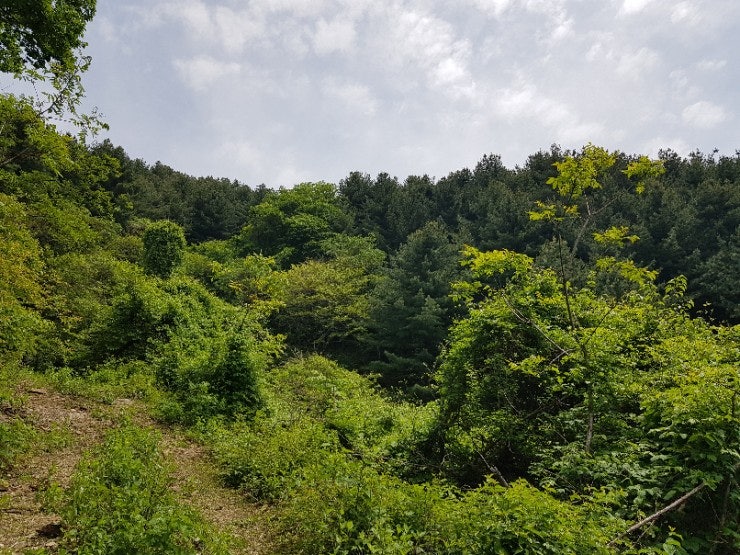 부채골 사진 5