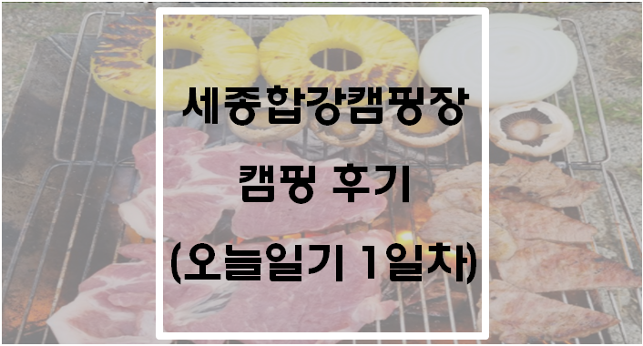  세종합강캠핑장 캠핑 후기(오늘일기 1일차)