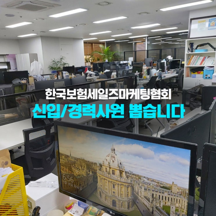  [이직컨설팅 신청] 기업자산관리사 취업성공! 신입/경력 사원 공개채용 - 한국보험세일즈마케팅협회x한국자산관리상담소