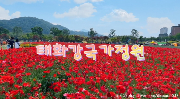  울산여행 가족나들이하기 좋은곳 , 숲캉스 태화강국가정원 5월 꽃구경