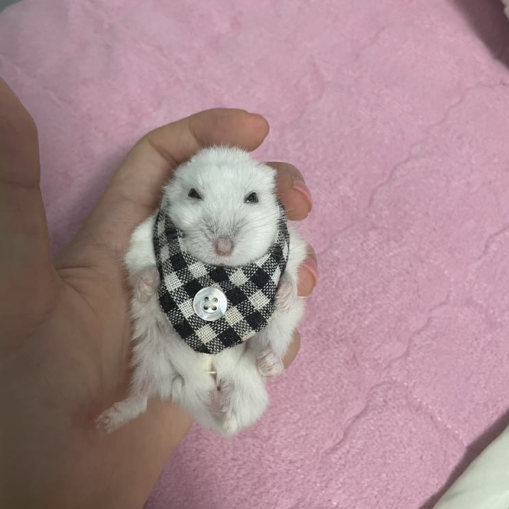  오늘일기 4일차