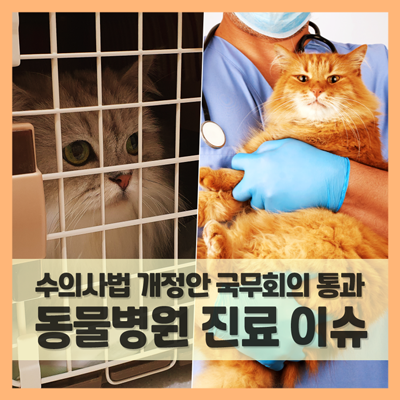  동물병원 진료 부담 덜해질까? (f. 수의사법 개정안 국무회의 통과)