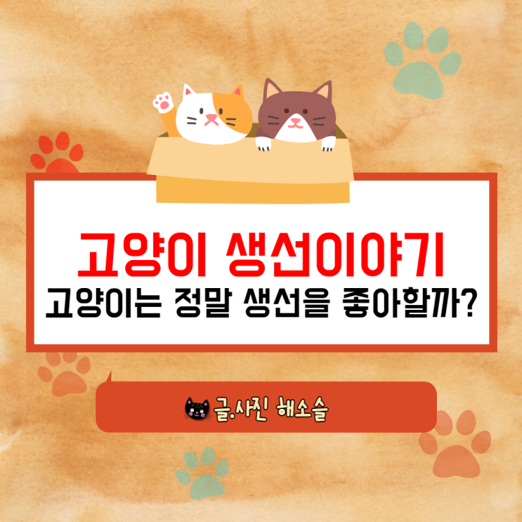 고양이 생선 이야기(고양이는 정말 생선을 좋아할까?)