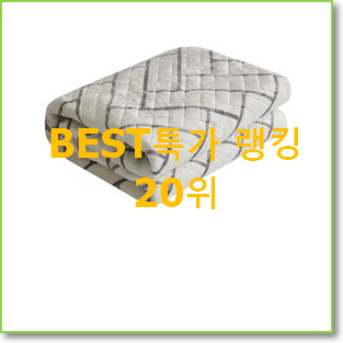  알짜배기 전기담요 선택 추천합니다.