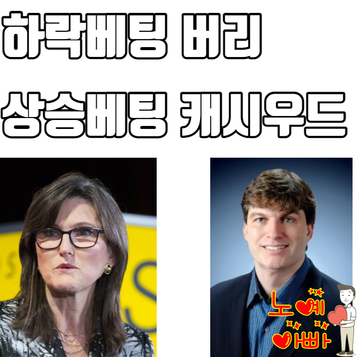  비트코인, 테슬라 상승 베팅 캐시 우드 | 테슬라 하락 베팅 마이클 버리