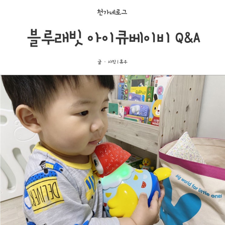  블루래빗 아이큐베이비 무엇이든 물어보세요